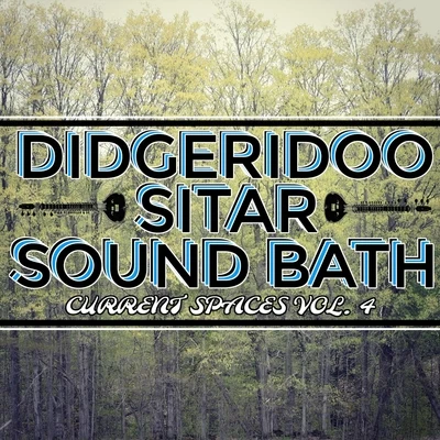 Jay RobinsonDidgeridoo Sitar Sound Bath: Current Spaces, Vol. 4