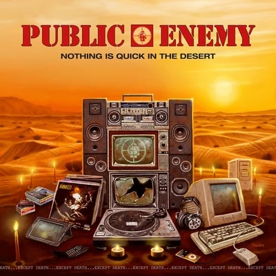 Public EnemyNothing Is Quick In The Desert