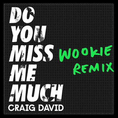 wookieDo You Miss Me Much (Wookie Remix)