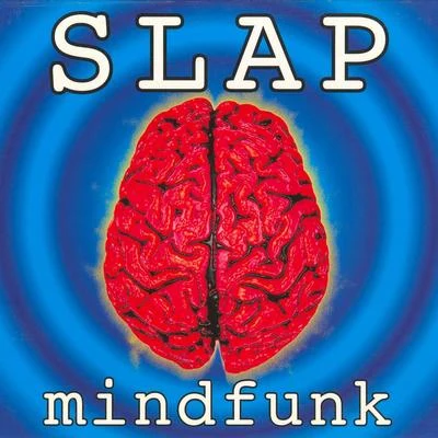 SlapMindfunk