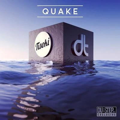 Dion TimmerQuake