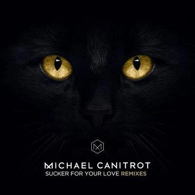 Michael Canitrot/The Rurals/Afterlife/Murat Tepeli/Fug/Lisa Shaw/Quintino & Blasterjaxx/Prosumer/Geoffrey Williams/Hygher BabySucker for Your Love (Remixes)