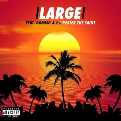 Polyester the SaintLarge (feat. DomIsG & Polyester the Saint)