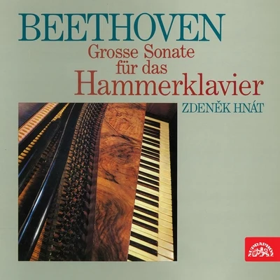 Zdeněk HnátBedrich TylsarBeethoven: Piano Sonata No. 29 "Hammerklavier"