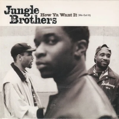 L.V./Jungle Brothers/Del The Funky Homosapien/Lupe Fiasco/Big Daddy Kane/Stetsasonic/Afrika Bambaataa/House of Pain/La The DarkmanWu Tang/Lil’ KimHow Ya Want It (We Got It)