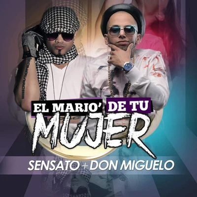 8ky/SensatoEl Mario de Tu Mujer