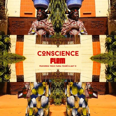 FlemConscience