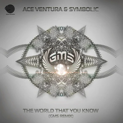 GMS/Ace VenturaThe World That You Know (GMS Remix)