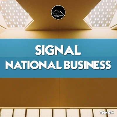 Signal/Carsten Nicolai/Byetone/alva noto/坂本龍一/Opto/Aleph 1National Business