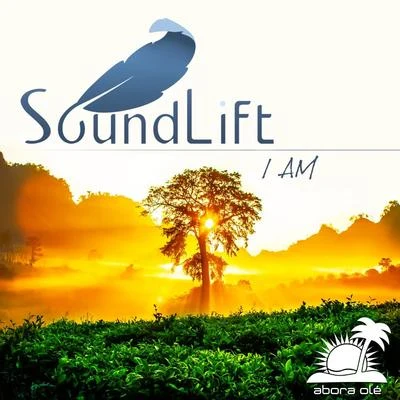 DK Project/SoundLiftI AM