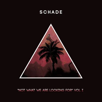 SchadeNot What We Are Looking For [Volume 1]