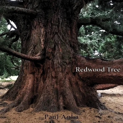 Paul AnkaRedwood Tree