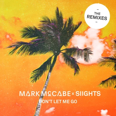 SIIGHTSDont Let Me Go (Remixes)