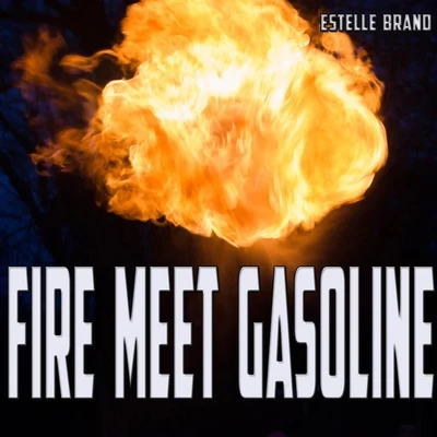 Estelle Brand/Sam Martin/Kendrick Lamar/Taylor Swift/Peter Bronson/Sting/Parrish Warrington/Steven Markowitz/D.R/RobbieFire Meet Gasoline