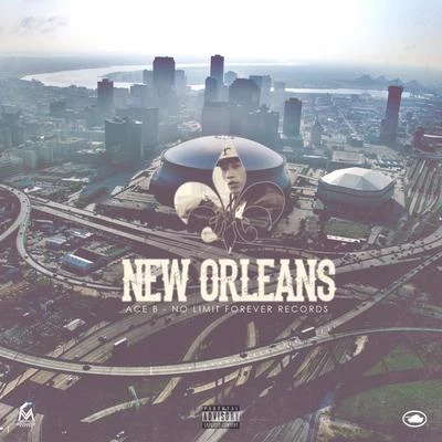 Ace B/Bluemoney BizzyNew Orleans - Single