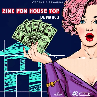 DeMarcoZinc Pon House Top