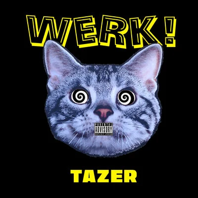 Maad/TazerWerk!