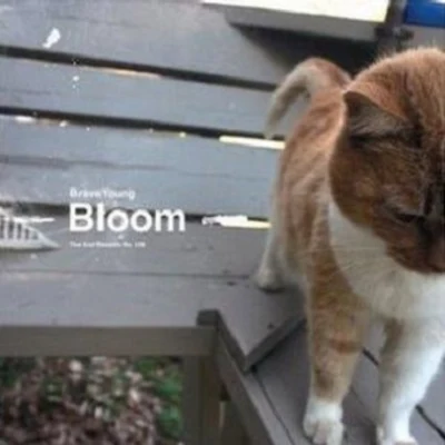 GiantBloom