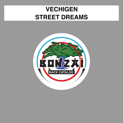 VechigenStreet Dreams