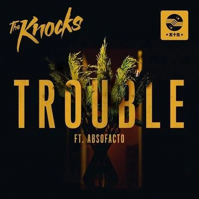 The Knocks/AbsofactoTROUBLE