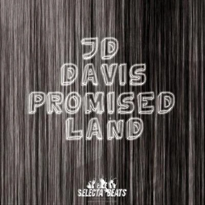 JD DavisChabPromised Land 2010 (Traxsource Edition)