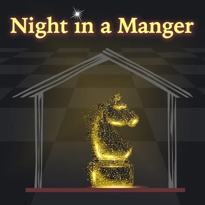 Matt JohnsonNight in a Manger