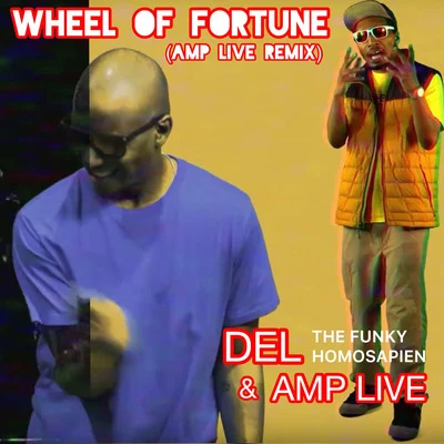 Del The Funky HomosapienWheel of Fortune (Amp Live Remix)