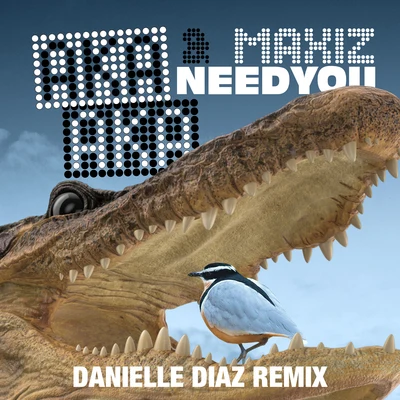 AKA AKA/YouNotUsNeed You (Danielle Diaz Remix)