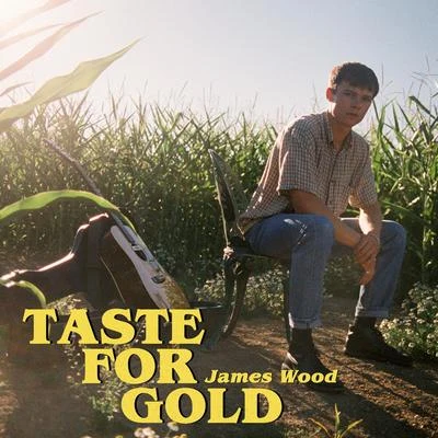 Steven Schick/James Wood/Critical BandTaste for Gold