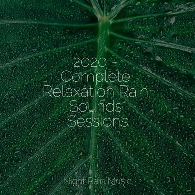 Asian Zen: Spa Music Meditation/Rain Storm Sample Library/Massage2020 - Complete Relaxation Rain Sounds Sessions