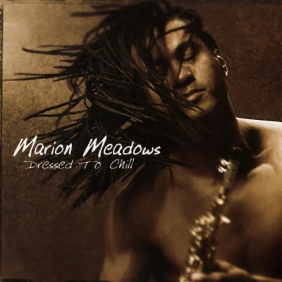 Marion Meadows/Russ Freeman/Vivian Green/Bob Baldwin/Paul Brown/Will Downing/Paul TaylorDressed To Chill