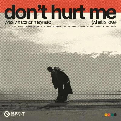 Conor MaynardDont Hurt Me (What Is Love)