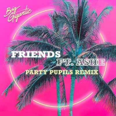 Big GiganticFriends (Party Pupils Remix)