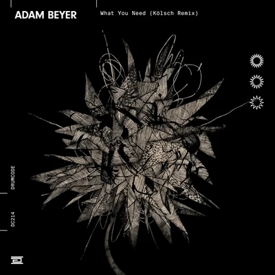 Adam BeyerWhat You Need (Kölsch Remix)