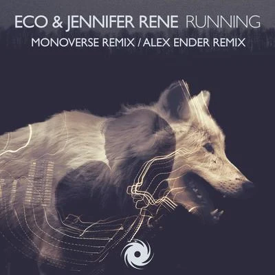 EcoRunning (Remixes)