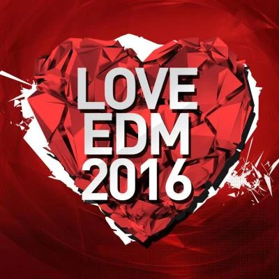 APEK/Ether/FeenixpawlLove EDM 2016