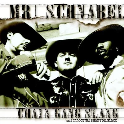 Mr. Schnabel/Stupido/Basic One/G Capella/Tiko/Franky Kubrick/Stilix/Jifusi/Tatwaffe/Plaetter PiChain Gang Slang (Maxi)