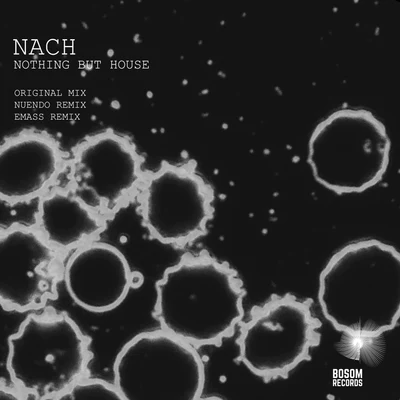 NachNothing But House