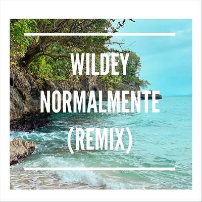 Wildey/Yomil y El DanyNormalmente (Remix)