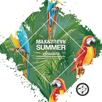 Milk & SugarSummer Sessions 2019