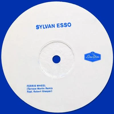 Sylvan EssoFerris Wheel (Terrace Martin Remix)