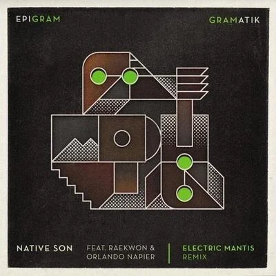 Electric MantisNative Son (Electric Mantis Remix)