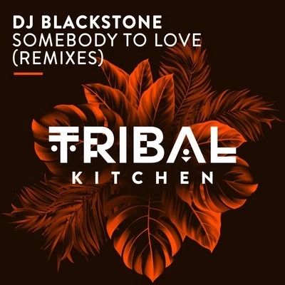 DJ Blackstone/Sean FinnSomebody to Love (Remixes)