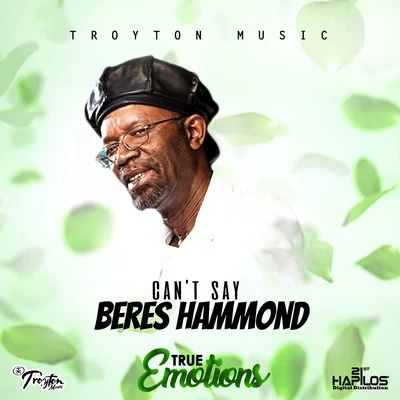 Amindi K. For$t/Beres Hammond/Estelle/Shenseea/Queen Ifrica/Bravo/Valleyz/Dovey Magnum/Koffee/Christopher MartinCan't Say