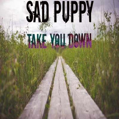 Sad Puppy/Various Artists/Aghori Tantrik/Misael Gauna/Luka Krajina/Cosmic Iron/Neological Vibration/Ficci/C41/GantherTake You Down (Radio Edit)