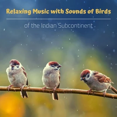 Bird SoundsRelaxing Music with Sounds of Birds of the Indian Subcontinent