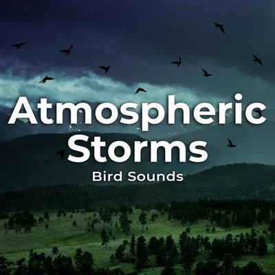 Bird SoundsAtmospheric Storms