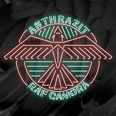 RAF Camora/Bonez MCAnthrazit