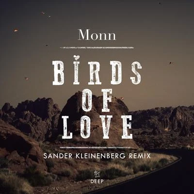 MonnBirds Of Love (Sander Kleinenberg Remix)