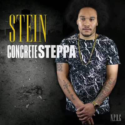 SteinConcrete Steppa